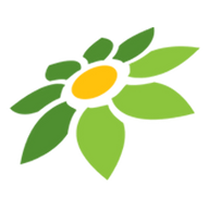 TOKOPEDIA STOCK